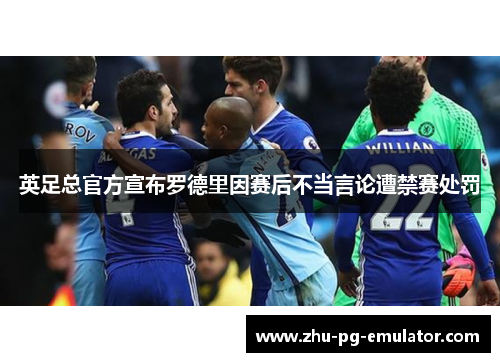 英足总官方宣布罗德里因赛后不当言论遭禁赛处罚 英足总官方宣布罗德里因赛后不当言论遭禁赛处罚